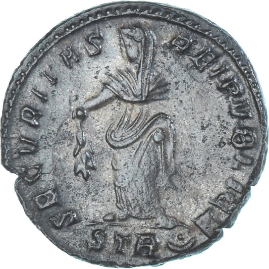 Mince, 
  
  Helena, 
  
  Follis
