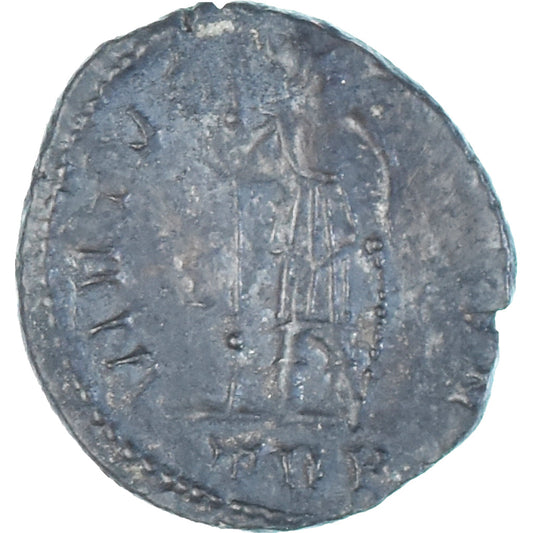 Mince, 
  
  Constans, 
  
  Follis