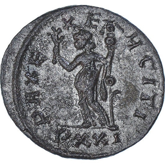Mince, 
  
  Carus, 
  
  Aurelianus