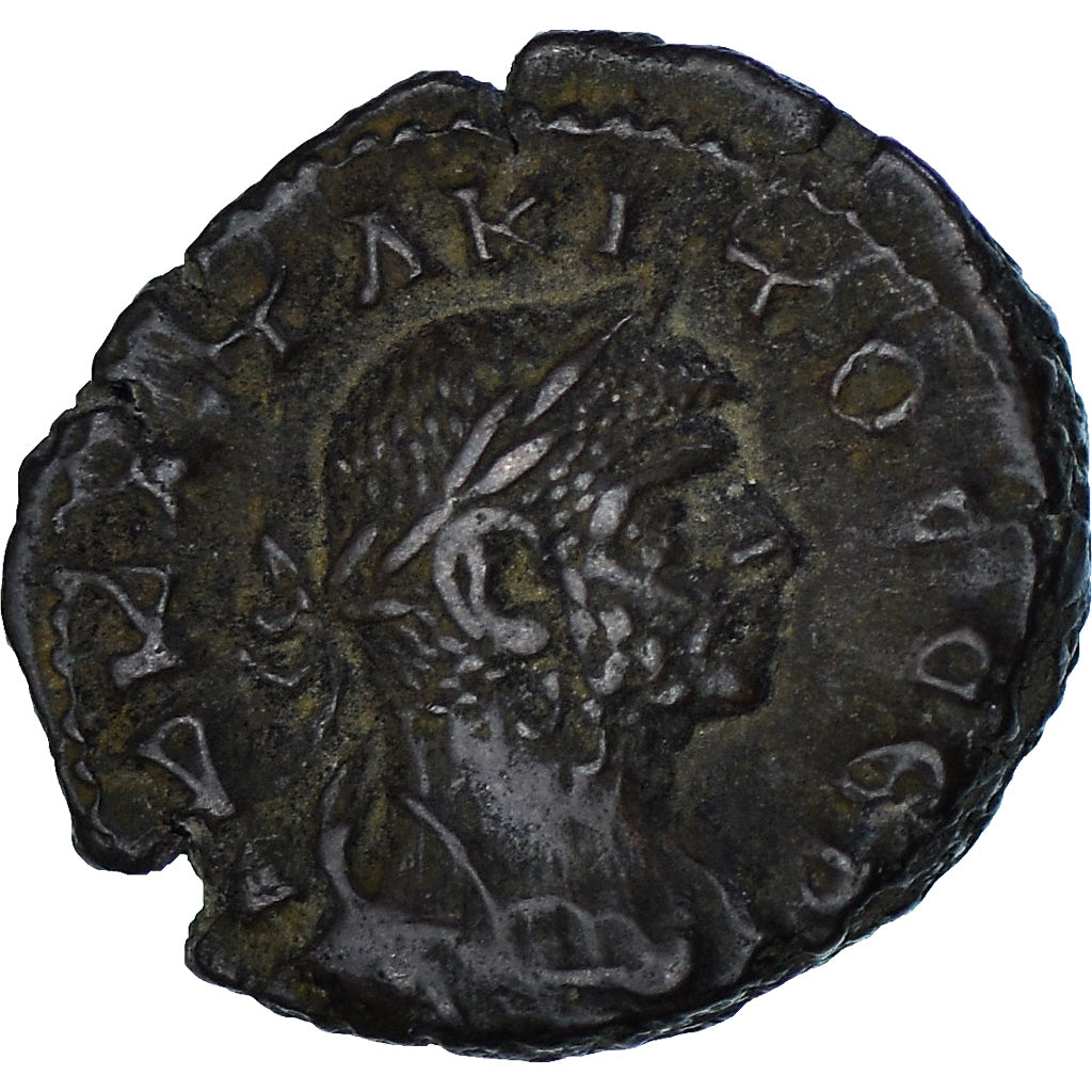 Mince, 
  
  Egypt, 
  
  Tacitus