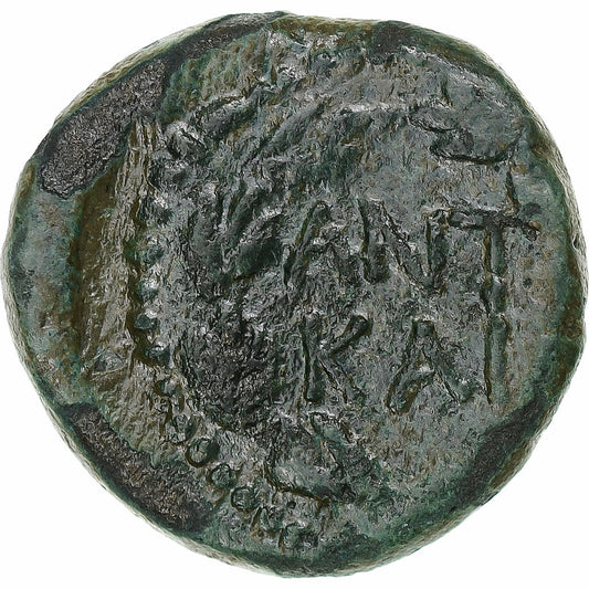 Makedonie, 
  
  Mark Antony & Octavian, 
  
  Æ