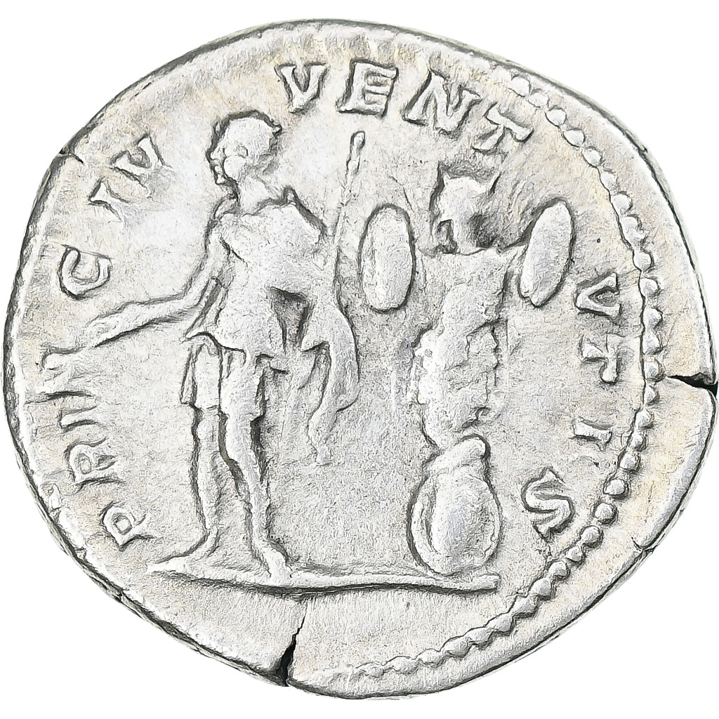 Geta, 
  
  denár, 
  
  200-202