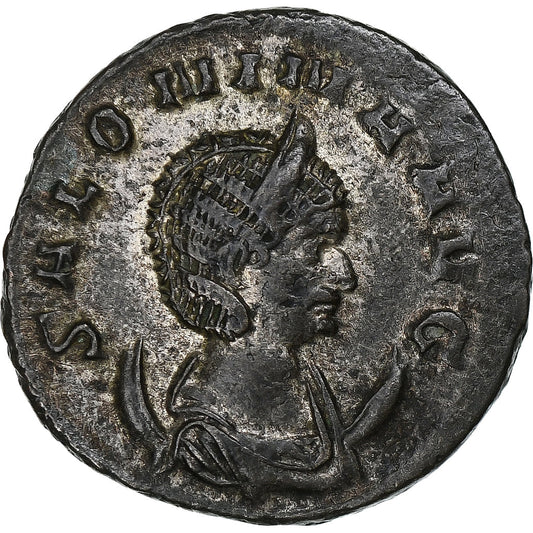 Salonina, 
  
  Antoninianus, 
  
  260-268