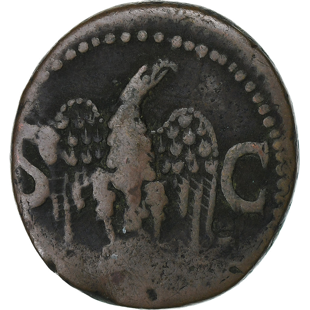 Divus Augustus, 
  
  jako, 
  
  34-37