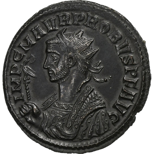 Probus, 
  
  Antoninianus, 
  
  276-282