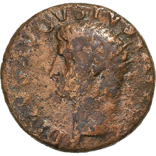 Divus Augustus, 
  
  jako, 
  
  22-30