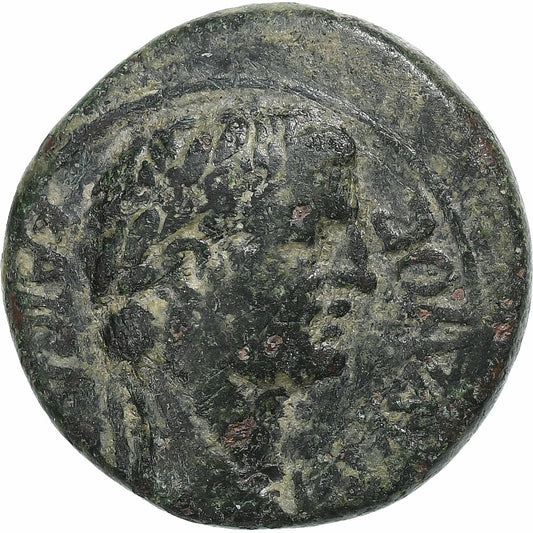 Frygie, 
  
  Claudius, 
  
  Æ Jednotka