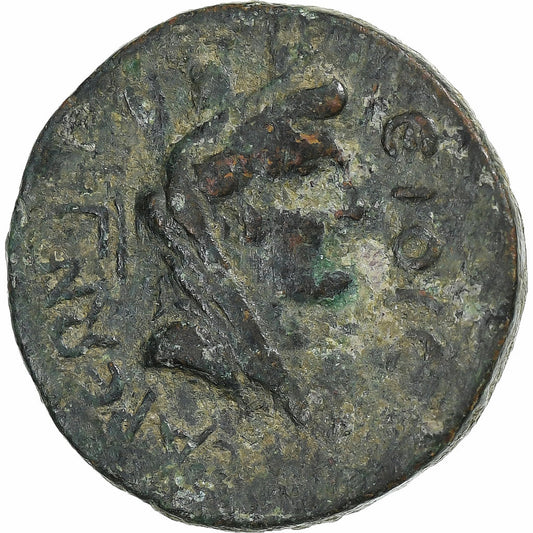 kilicie, 
  
  Claudius, 
  
  Æ Jednotka