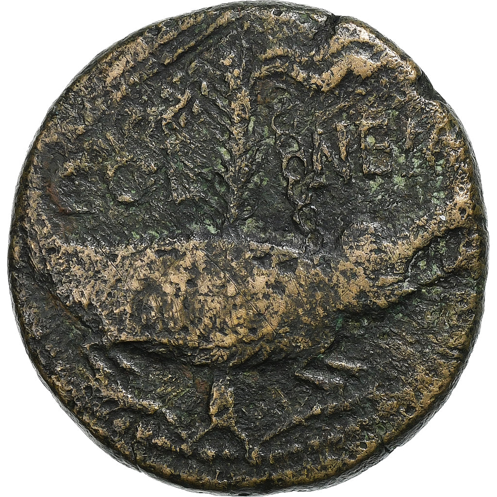 Augustus, 
  
  jako, 
  
  10-14