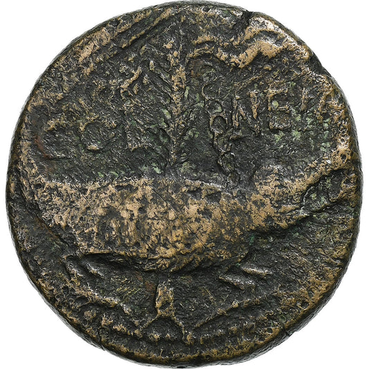 Augustus, 
  
  jako, 
  
  10-14