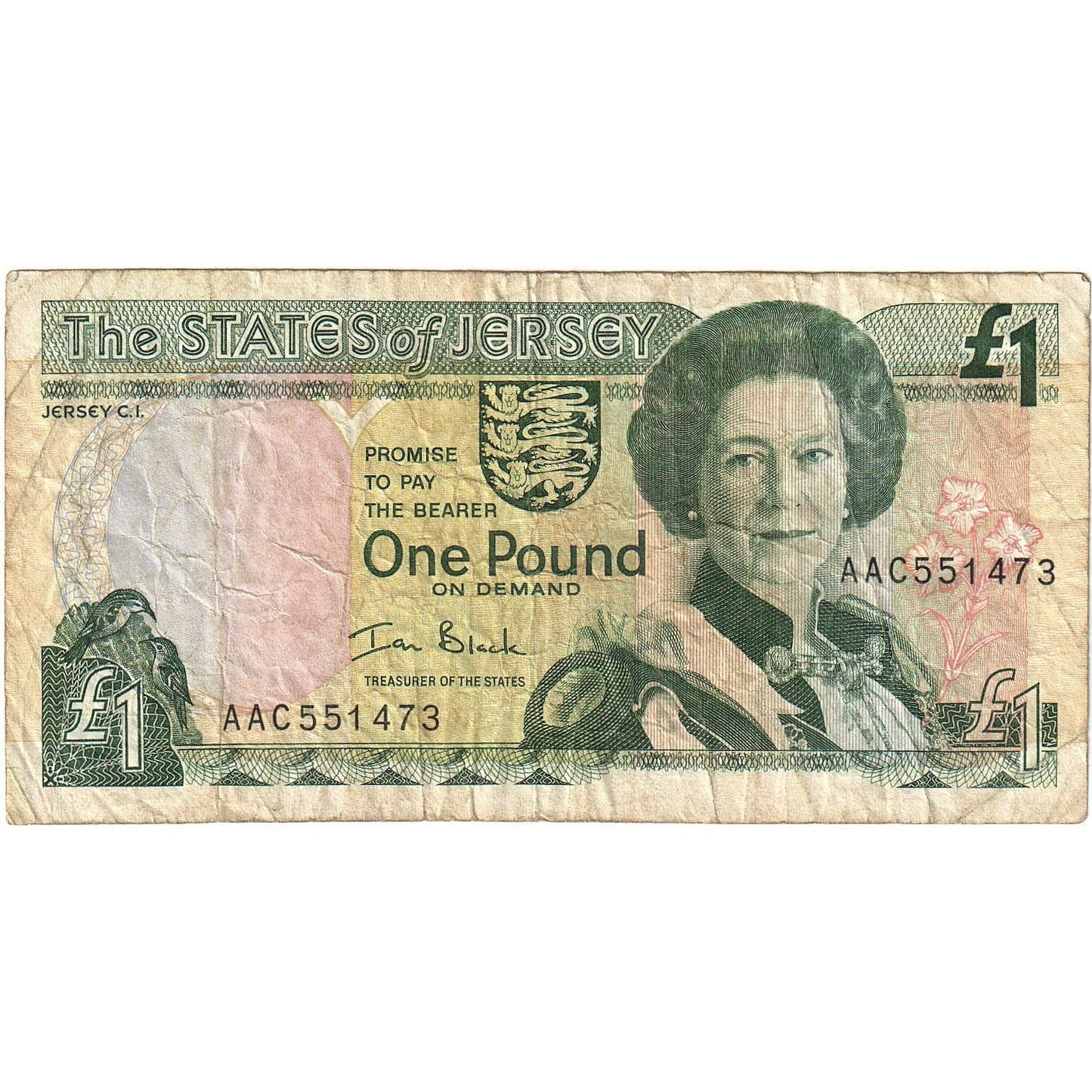 Trikot, 
  
  1 libra, 
  
  Nedatováno (2000)