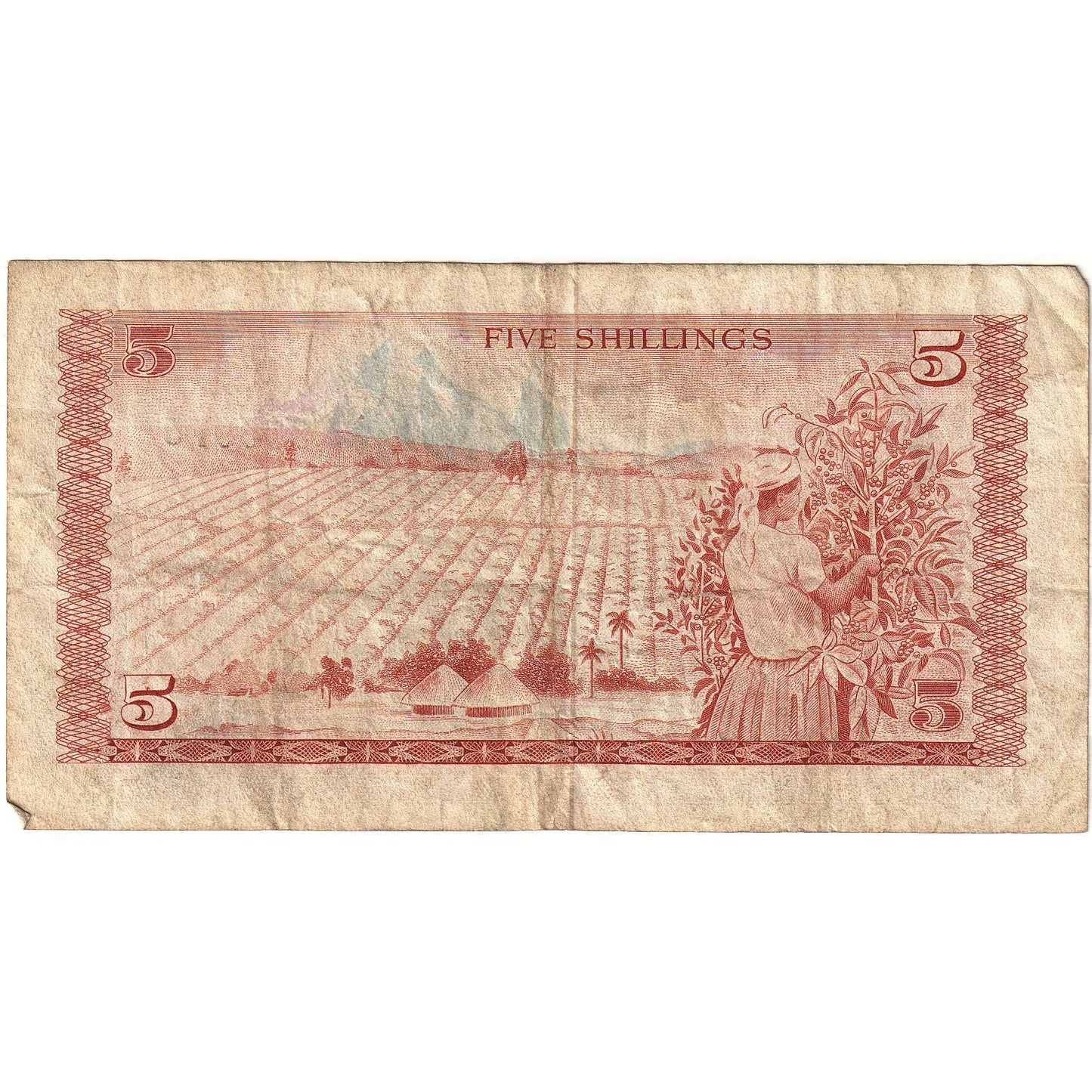 Keňa, 
  
  5 šilinků, 
  
  1978