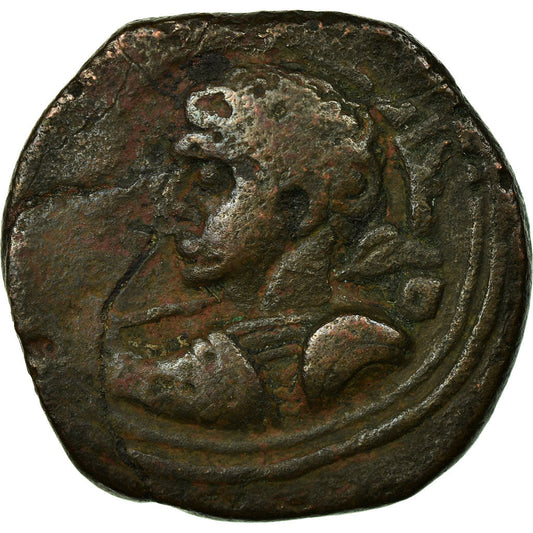 Mince, 
  
  Zengid ze Sinjaru, 
  
  Dirham