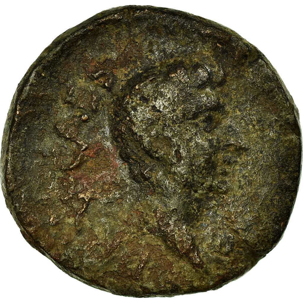 Mince, 
  
  Drusus, 
  
  Bronz Æ