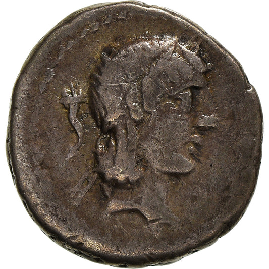 Mince, 
  
  Calpurnia, 
  
  Quinarius