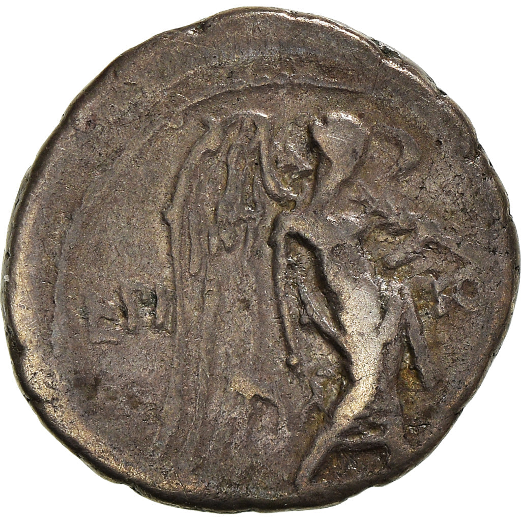 Mince, 
  
  Calpurnia, 
  
  Quinarius