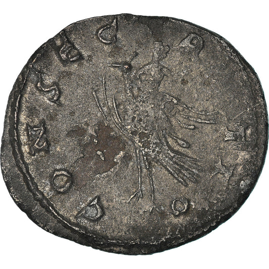 Mince, 
  
  mariniana, 
  
  Antoninianus