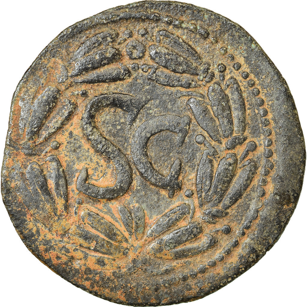 Mince, 
  
  Seleucis a Pieria, 
  
  Domitian
