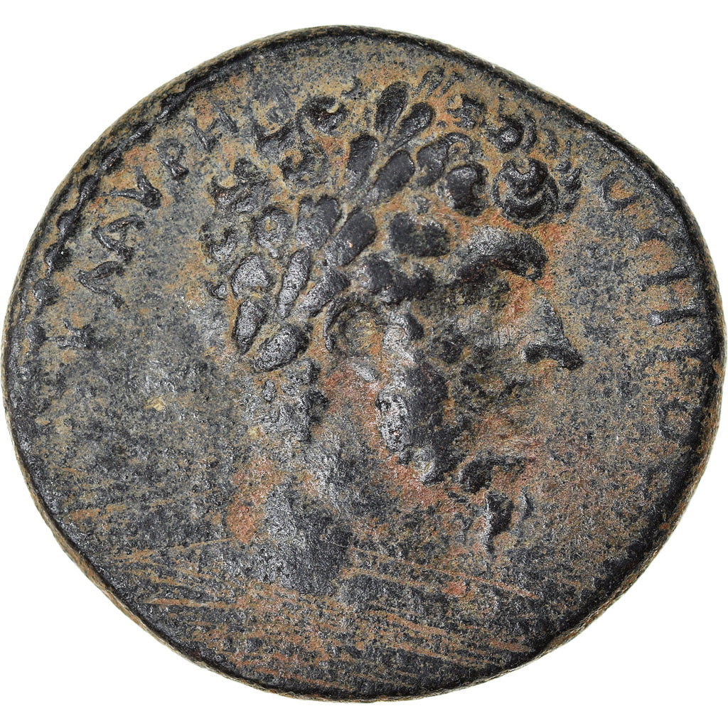 Mince, 
  
  cyrrhestica, 
  
  Cyrrhus