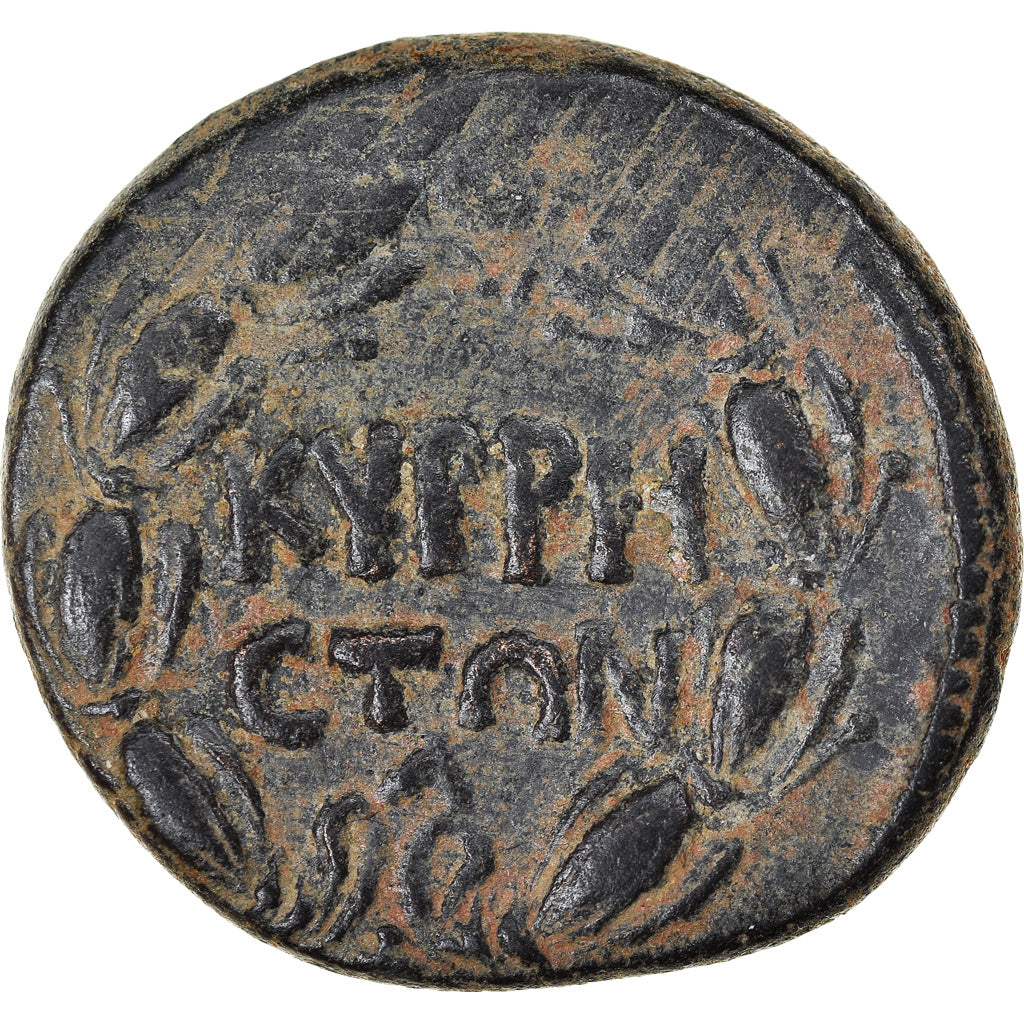 Mince, 
  
  cyrrhestica, 
  
  Cyrrhus