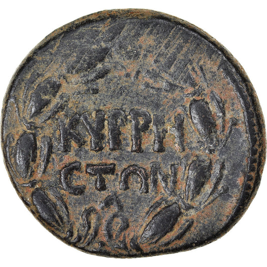 Mince, 
  
  cyrrhestica, 
  
  Cyrrhus