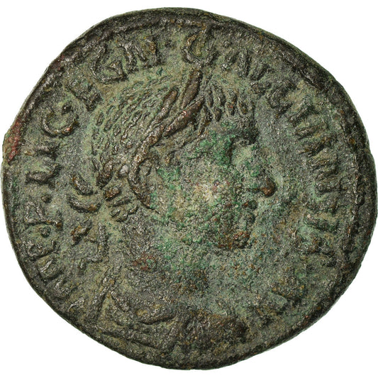 Mince, 
  
  Gallienus, 
  
  Bronz Æ