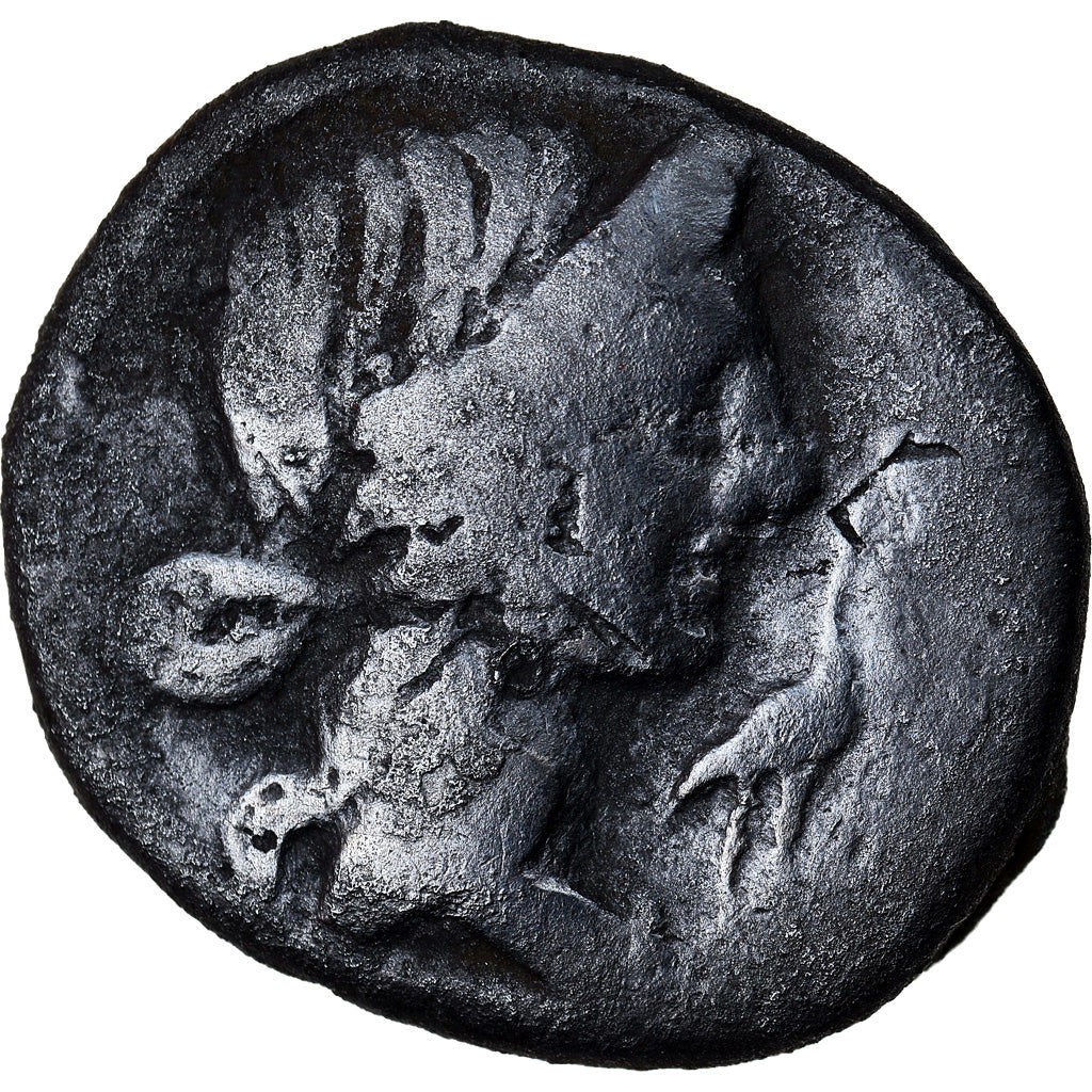 Mince, 
  
  Caecilia, 
  
  denár