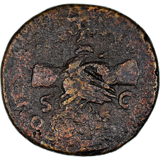 Mince, 
  
  nervy, 
  
  Dupondius