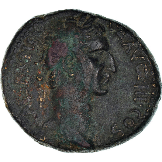 Mince, 
  
  Seleucis a Pieria, 
  
  Nerva