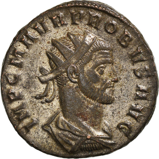 Mince, 
  
  Probus, 
  
  Antoninianus